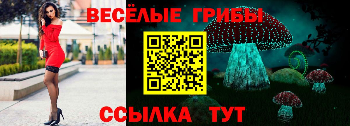 Галлюциногенные грибы Psilocybe Похвистнево