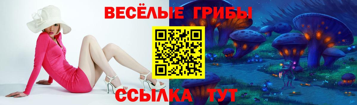 Похвистнево  Псилоцибиновые грибы ЛСД  Вход с VPN 